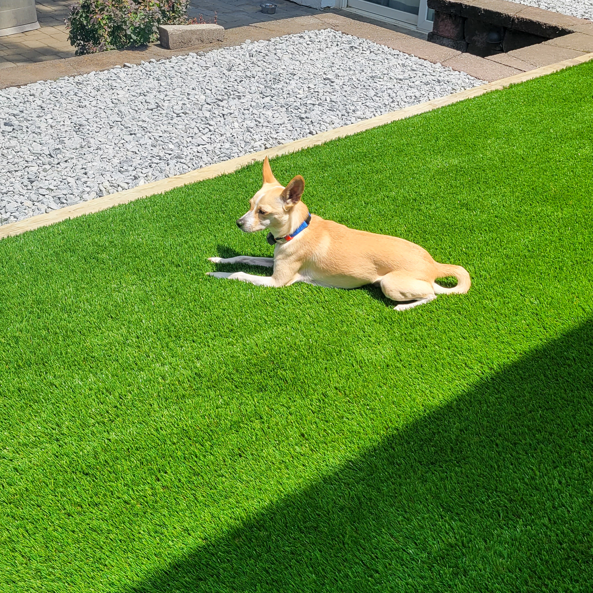 get a free quote on a dog turf pad you can get a quote on