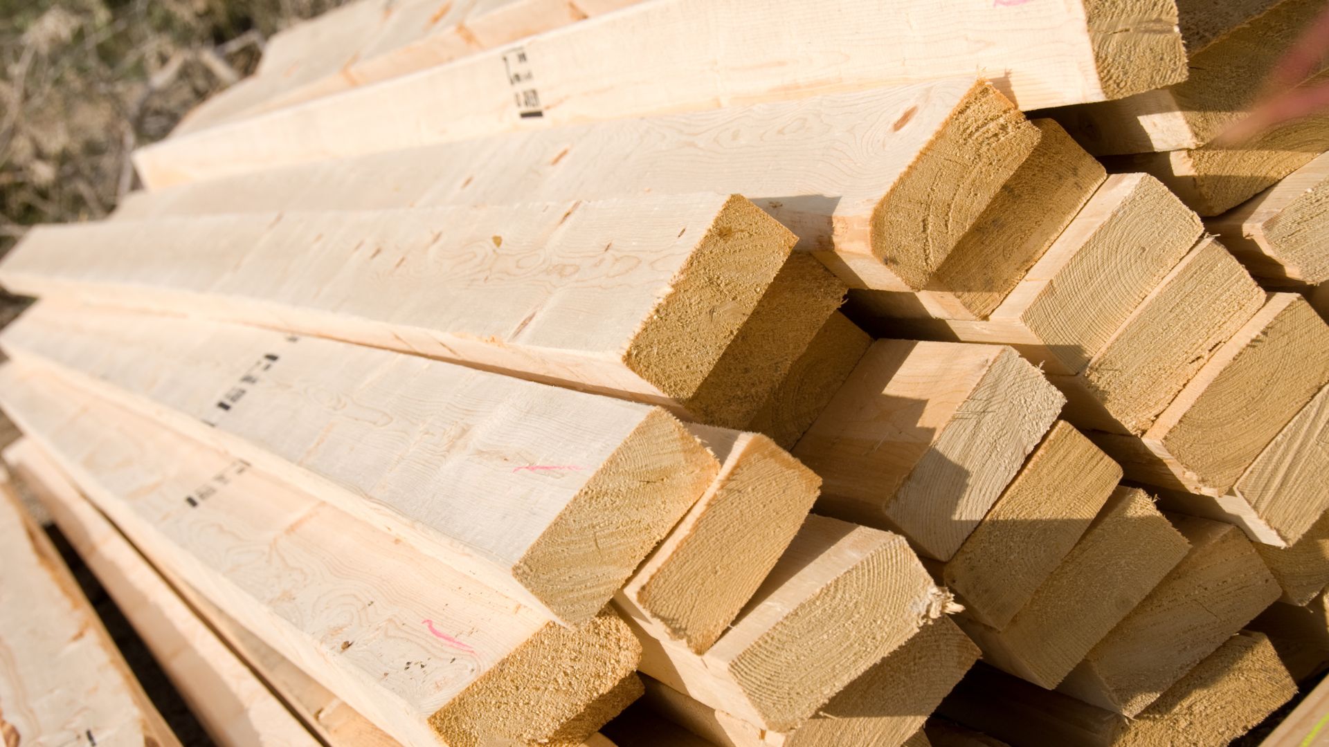 pressure lumber for shed