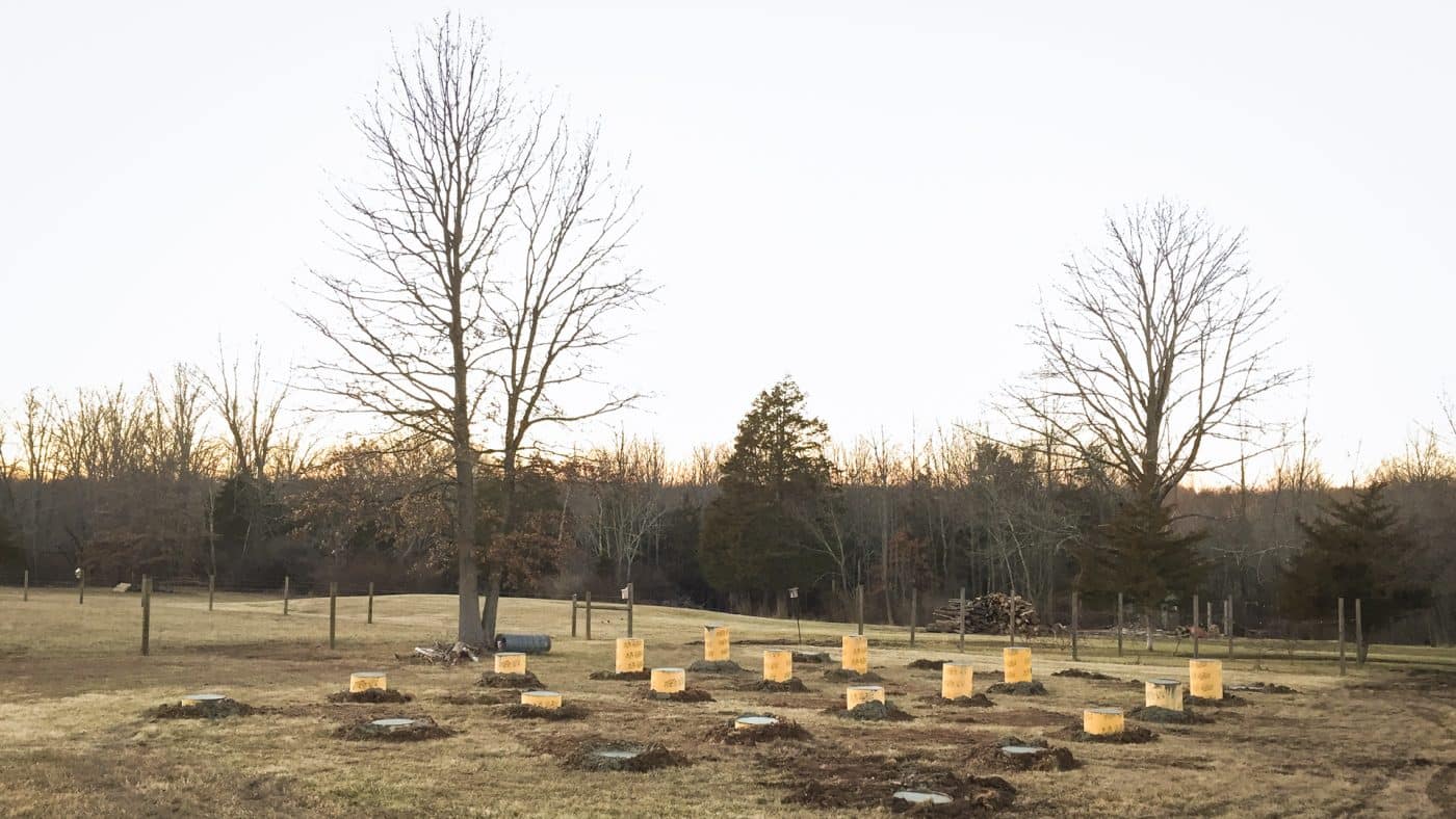 Shed foundation piers for a large shed