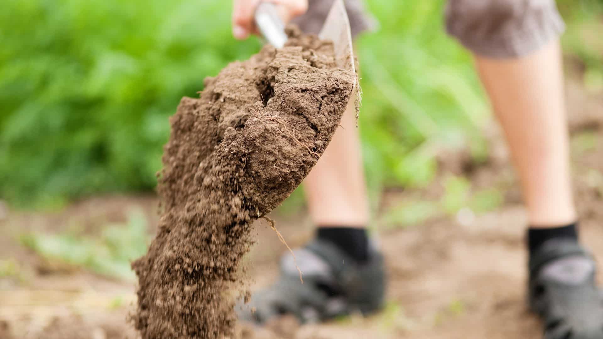 A man who is leveling the ground for a shed